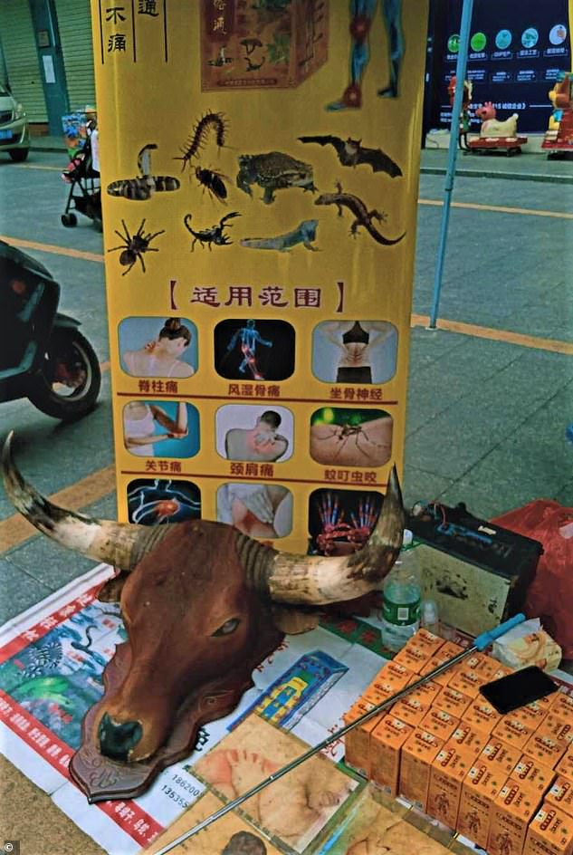 26533774 8163761 A traditional medicine stall at Dongguan market in southern Chin a 2 1585443805365