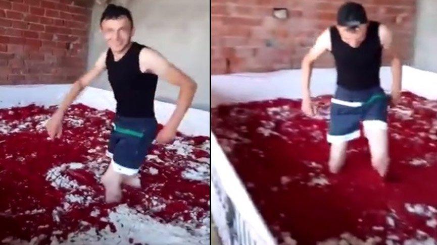 بالفيديو: عامل في معمل (رب البندورة) يقوم بدهس الطماطم بقدميه شمال تركيا