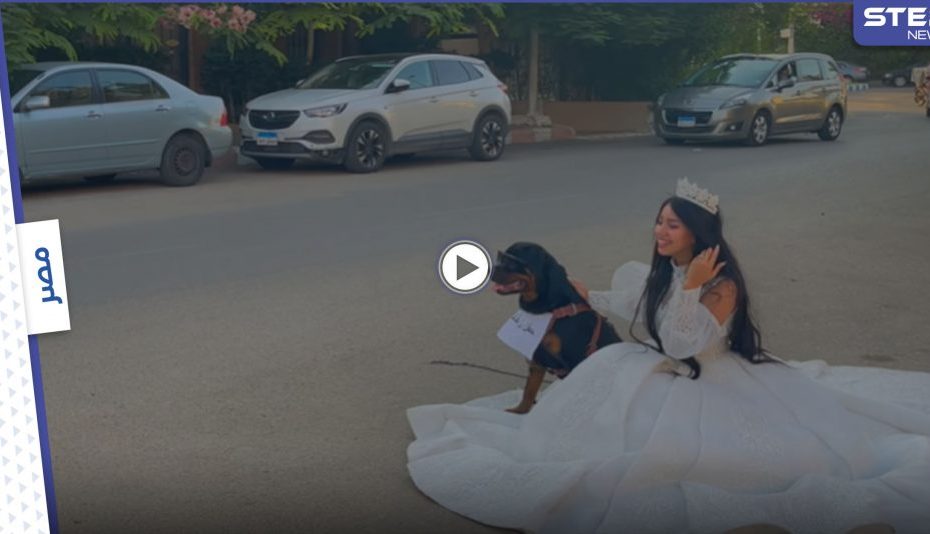 شابة مصرية معروفة تعلن زواجها من كلب بشكل رسمي وتنشر صور وفيديو الزفاف (فيديو)