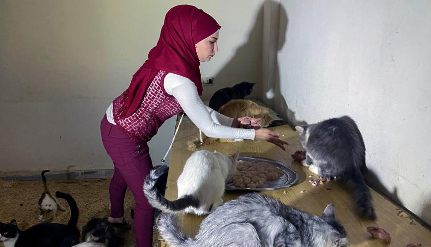 صبية سورية في دمشق تبيع ممتلكاتها لأجل الكلاب والقطط وتدعو السوريين للاستفادة من مشروعها الخاص (فيديو)