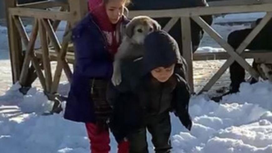 طـ.ـفل سوري ينقذ كلباً من التجمد يثير اهتمام الإعلام التركي (فيديو)