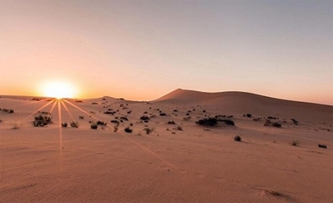 سعودي و نجله يفترقان بالصحراء ” كي لا يرى أحدهما مـ.ـوت الآخر ” (فيديو)