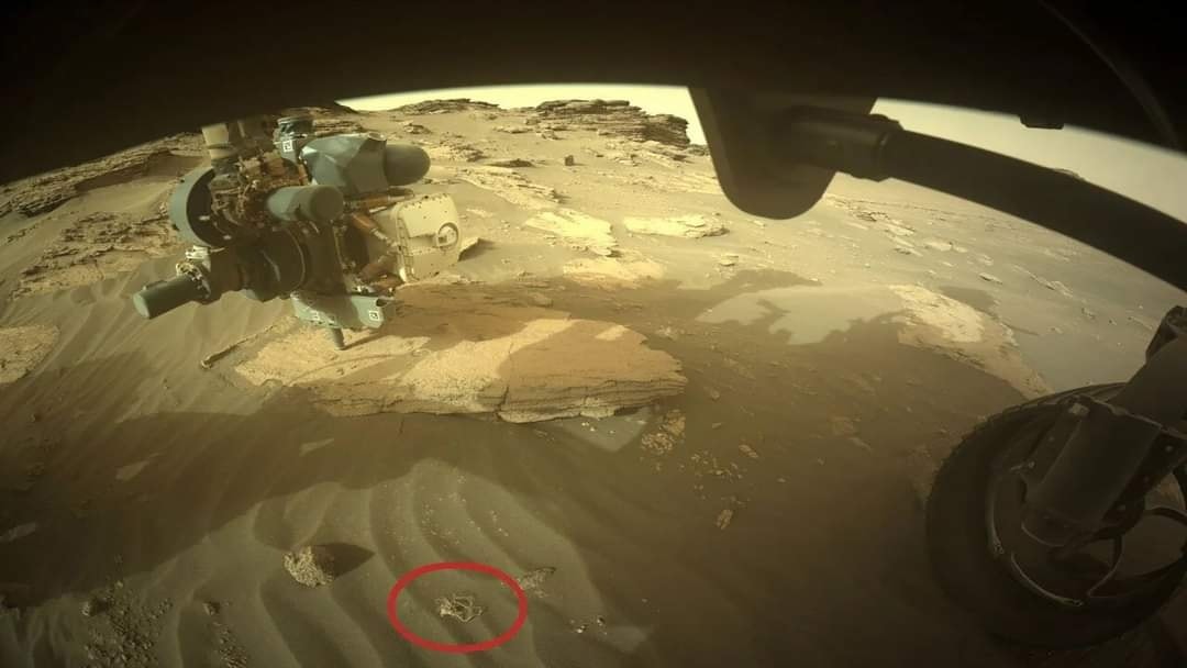 العلماء يعثرون على معكرونة “سباغيتي” على سطح المريخ! (صورة)