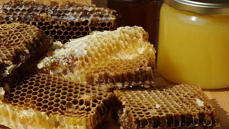 فوائد ومضار عسل النحل على الصحة
