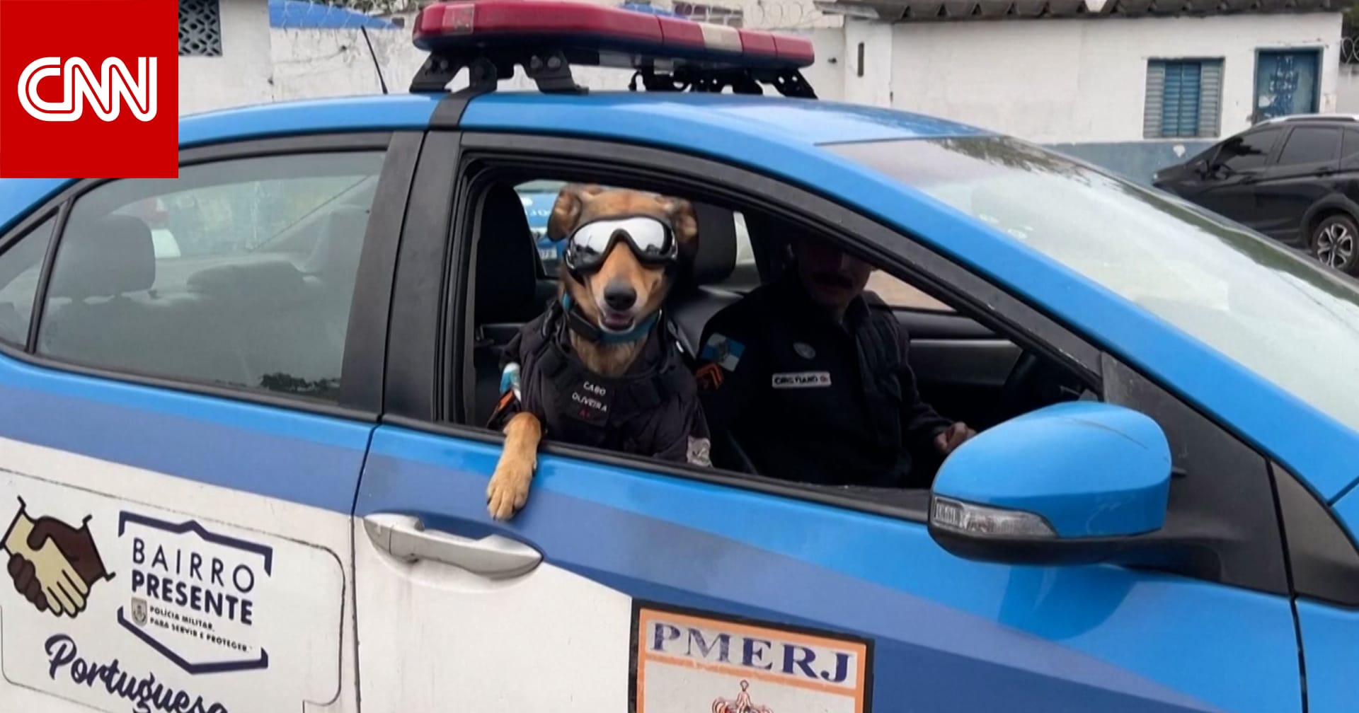 قابلوا “العريف أوليفيرا”.. من كلب تم إنقاذه إلى عضـ.ـو في الشـ.ـرطة البرازيلية (فيديو)